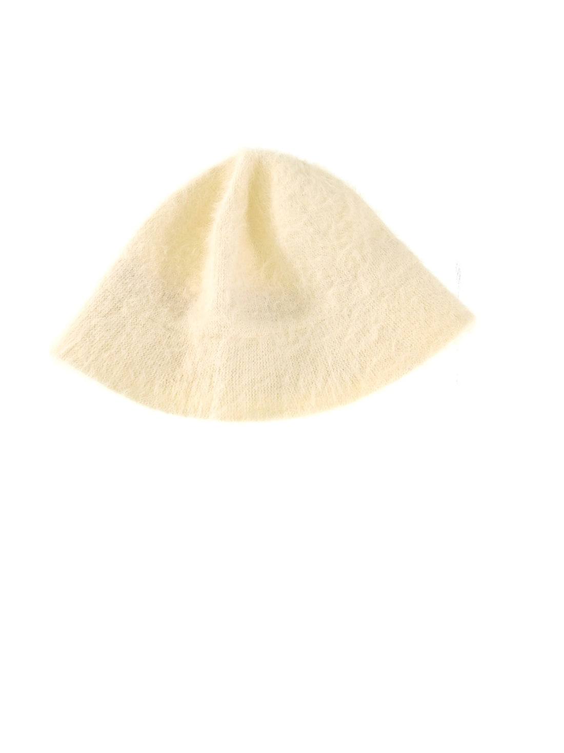 part of the brain stem (links the medulla oblongata and cerebellum with the midbrain)