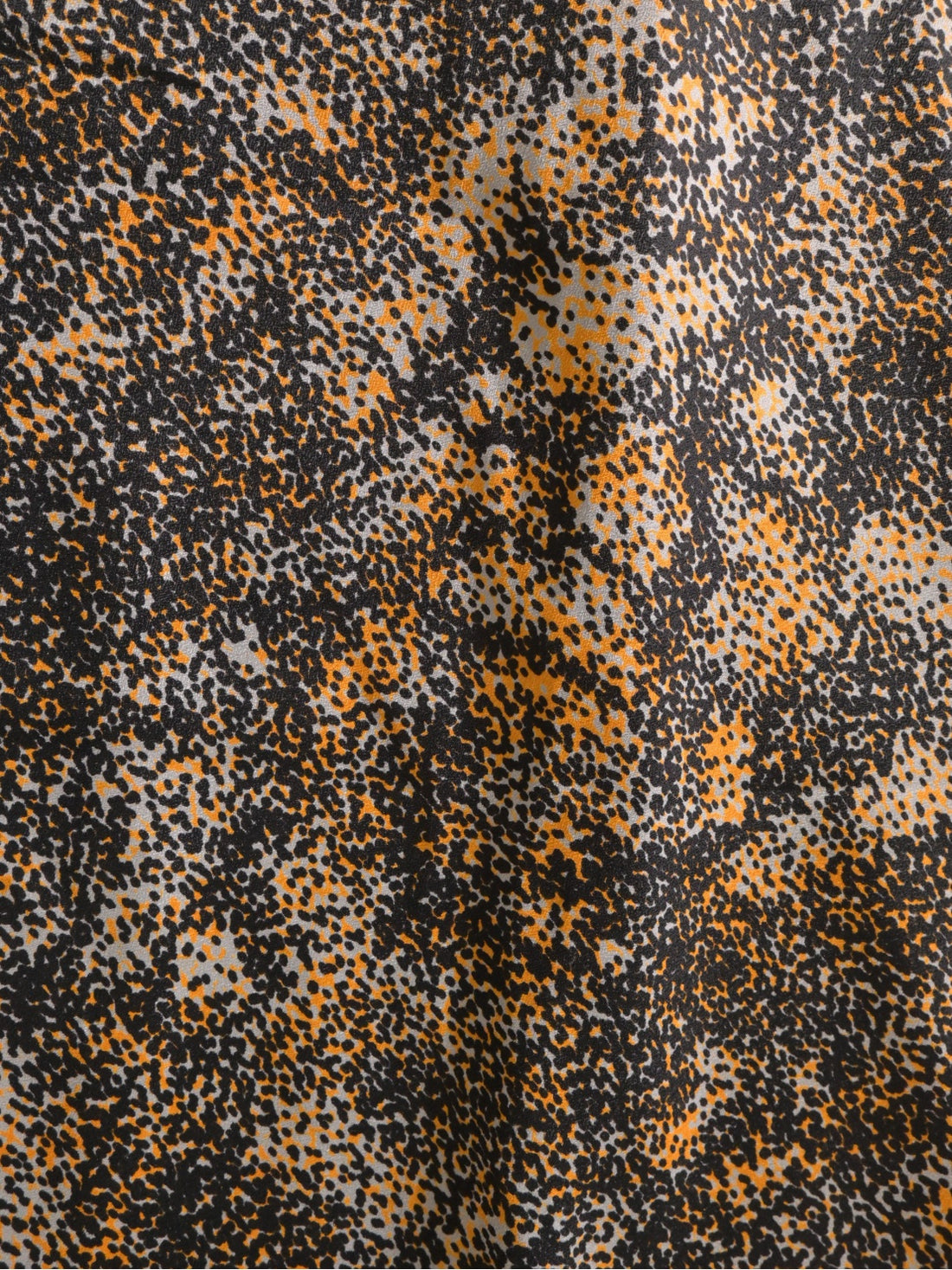 사야