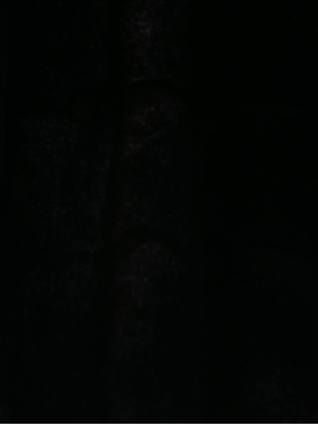Kikyo