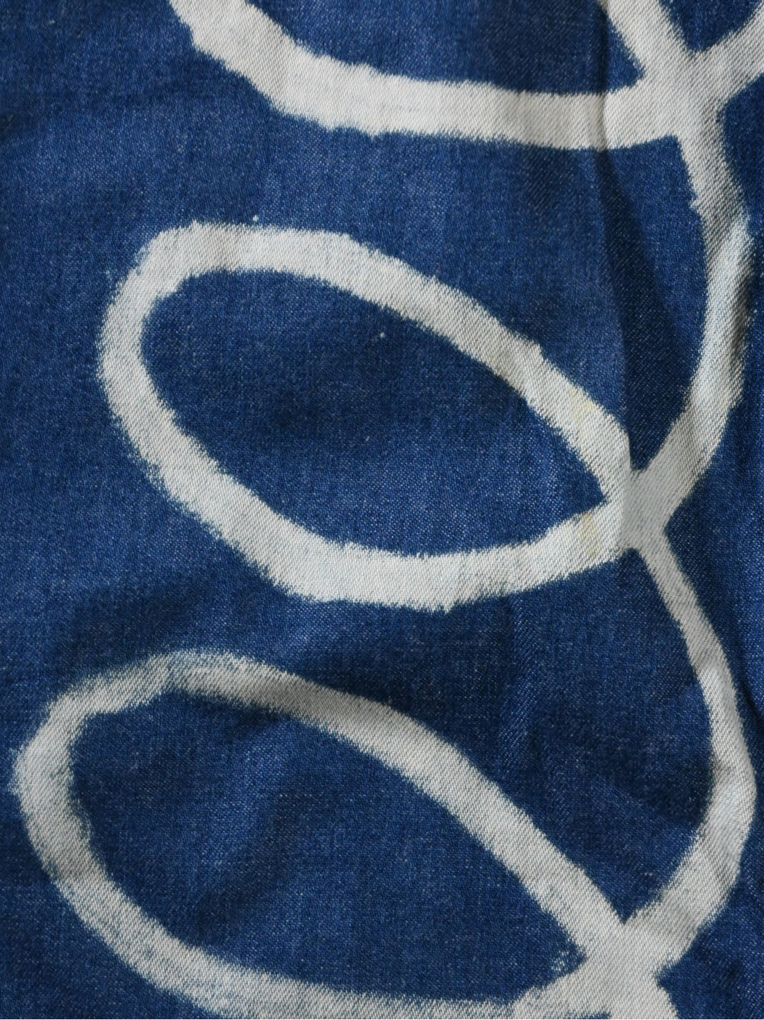 Cane