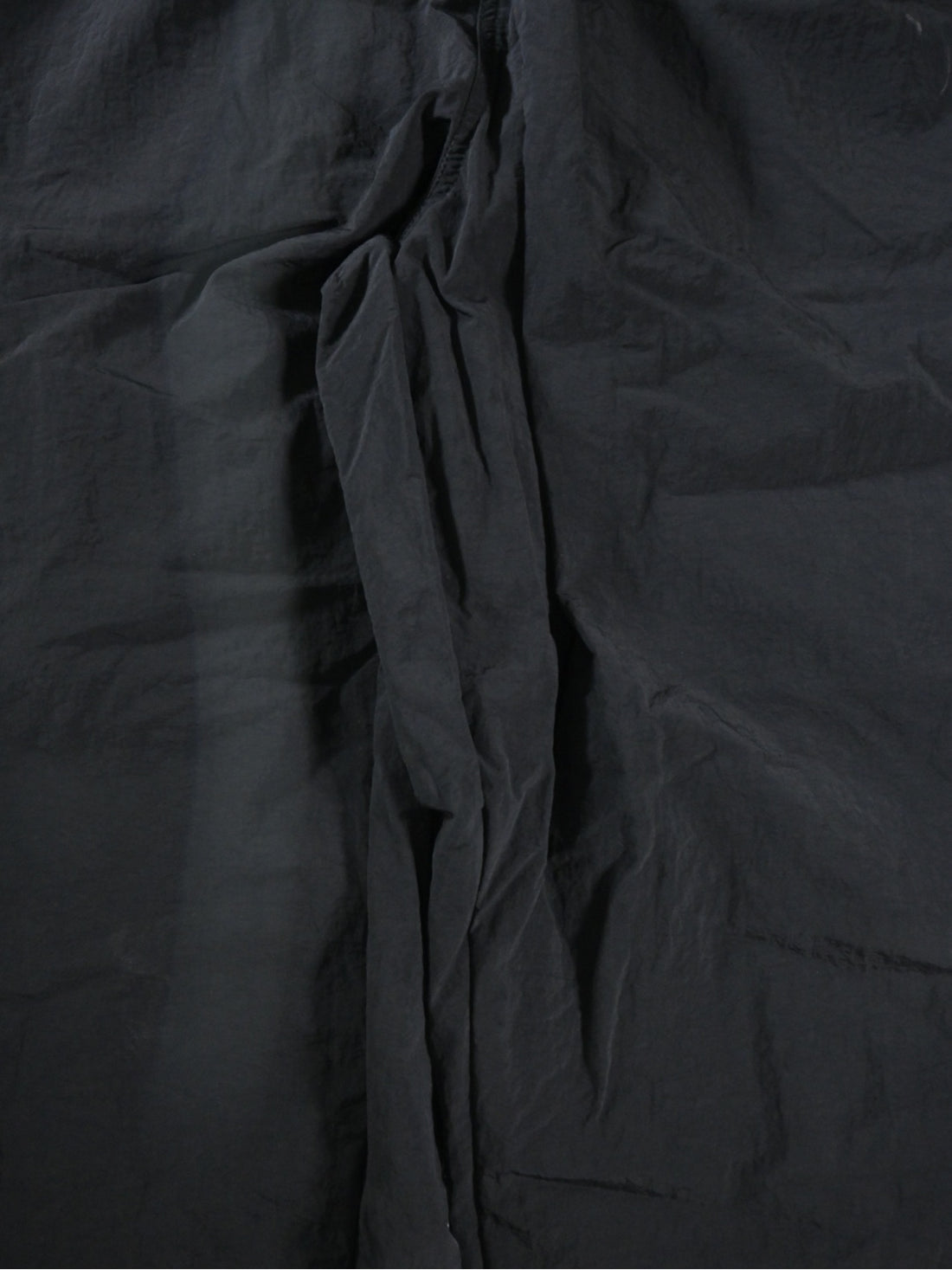 Taro