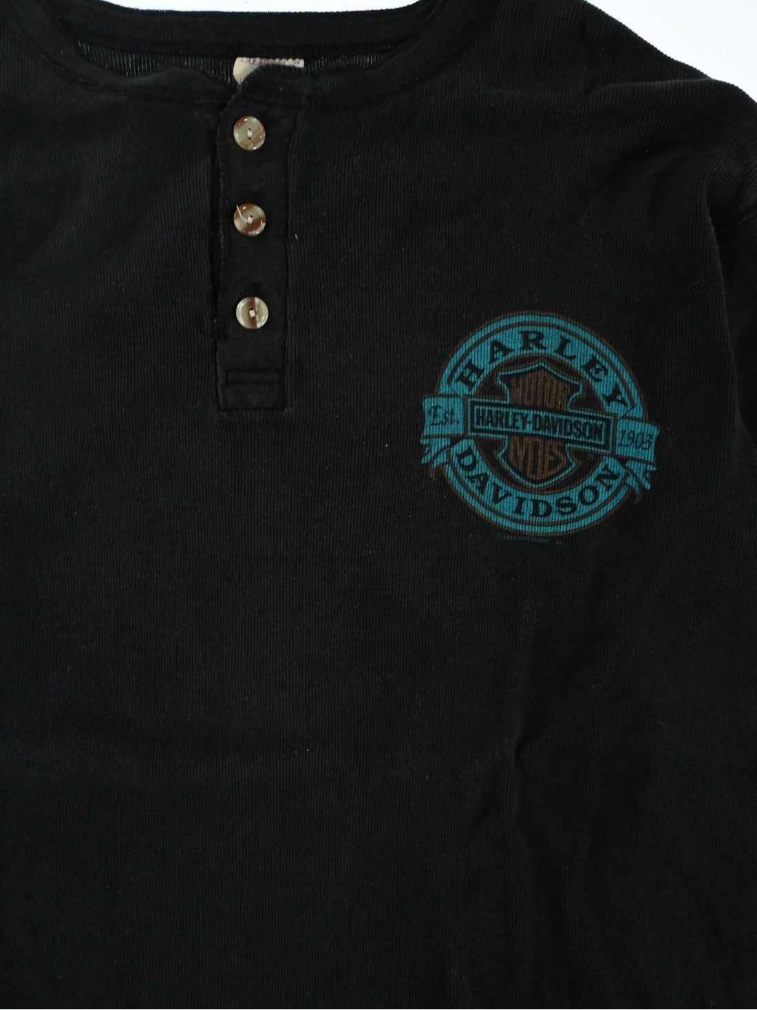bellflower