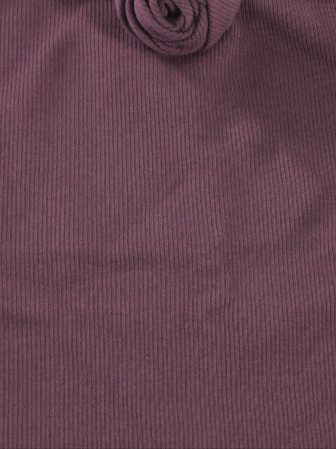 mipo31