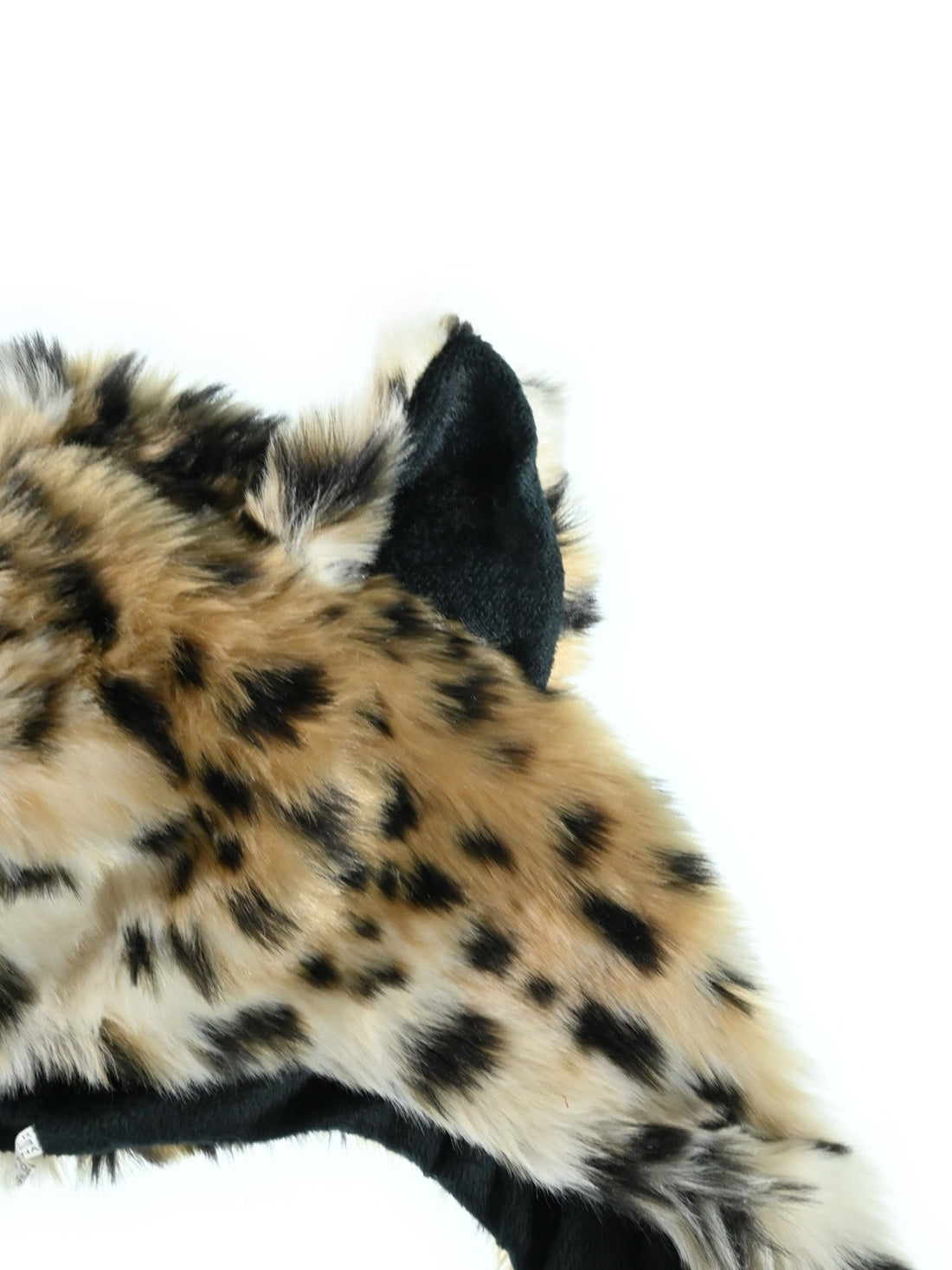 titaniumgimm