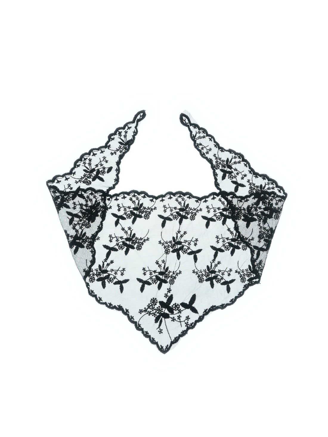 hikari.