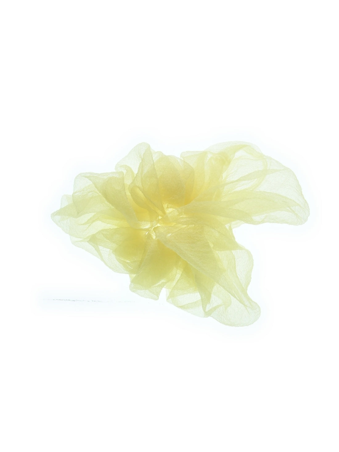 titaniumgimm