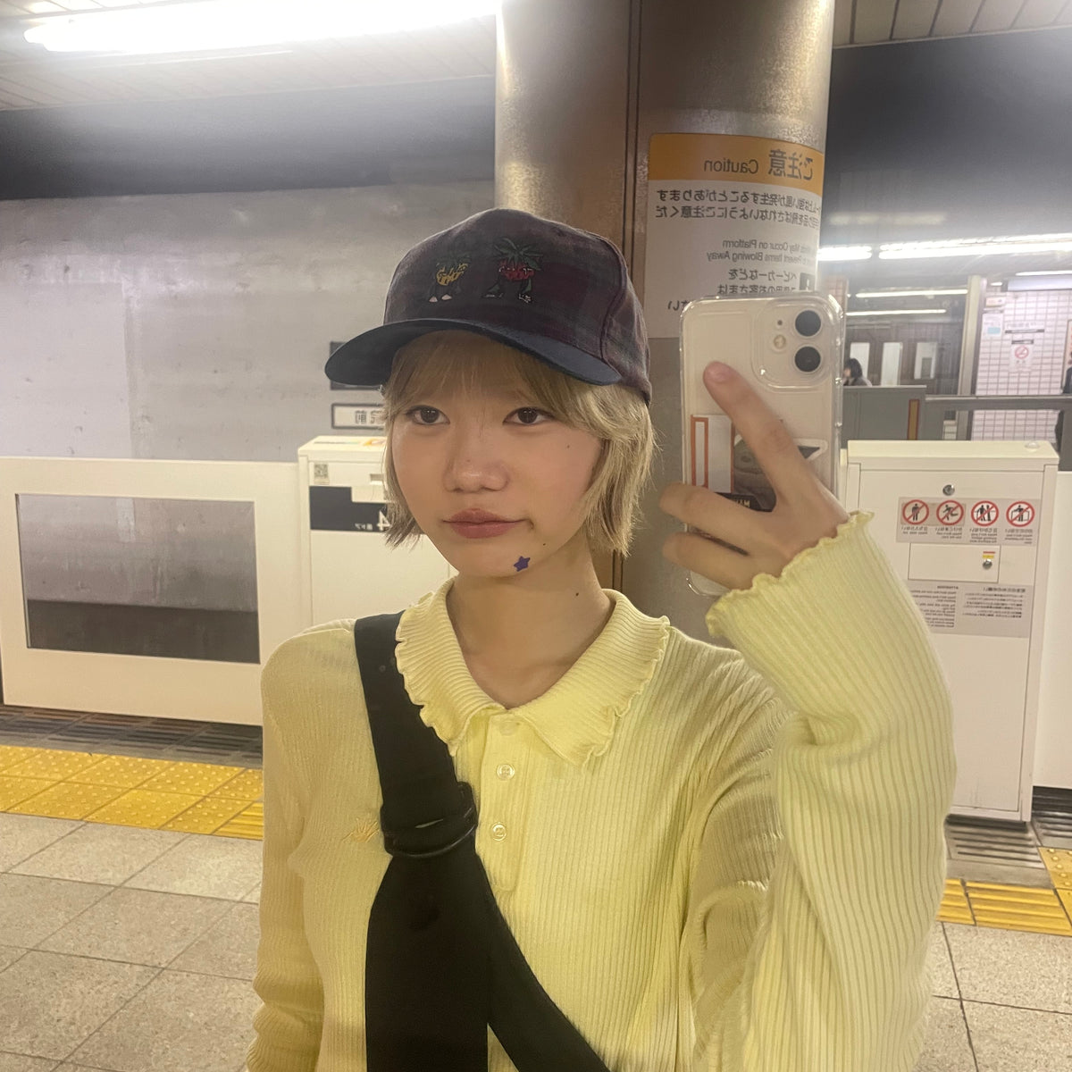 心実