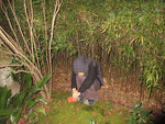 Seller Image