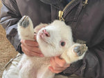 Seller Image