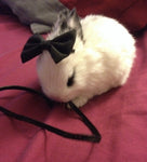 Seller Image