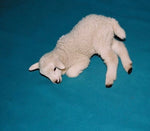 Seller Image