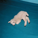 Seller Image