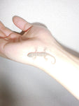 Seller Image