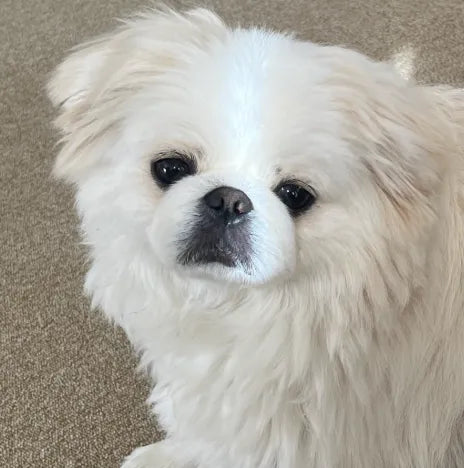 riku