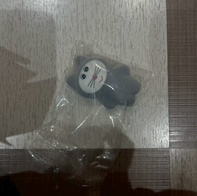 cocoro  akasaki ⋆˙