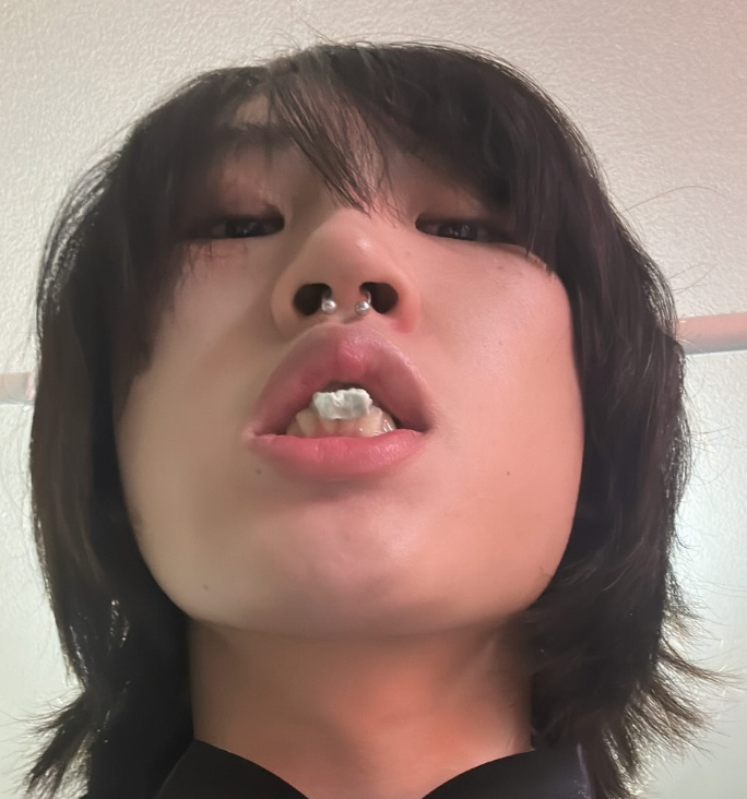 もはし