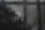 Seller Image