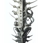 Seller Image