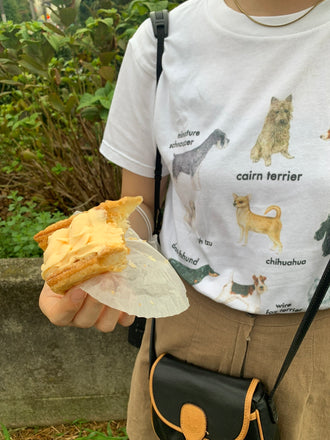 Kotone