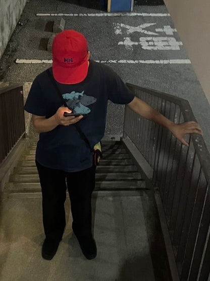 토시