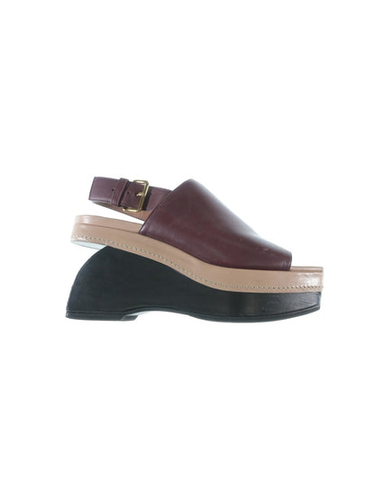 花雨