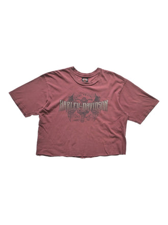 谷藤 理奈/Tanifuji Rina