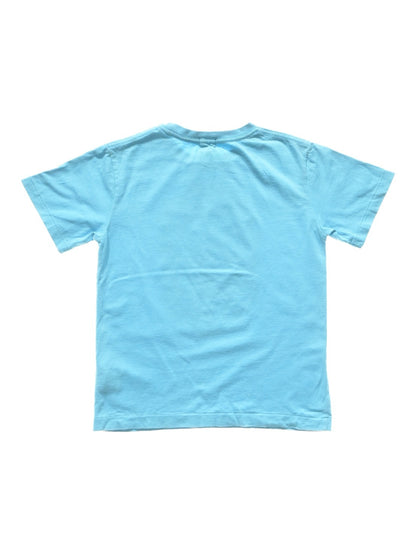 sari