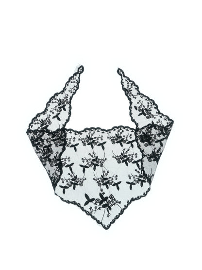 hikari.