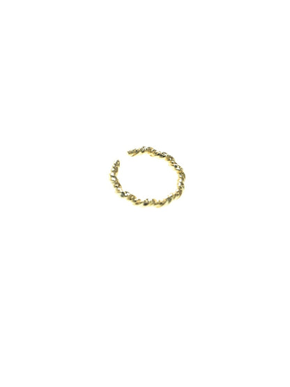 塩麹