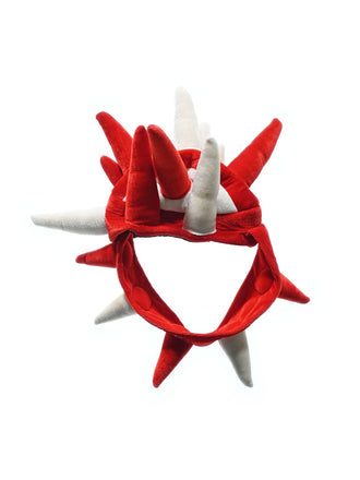haruto