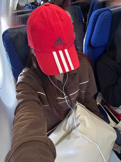햄스터를 쫓아