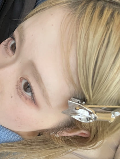 かったんだきたいます